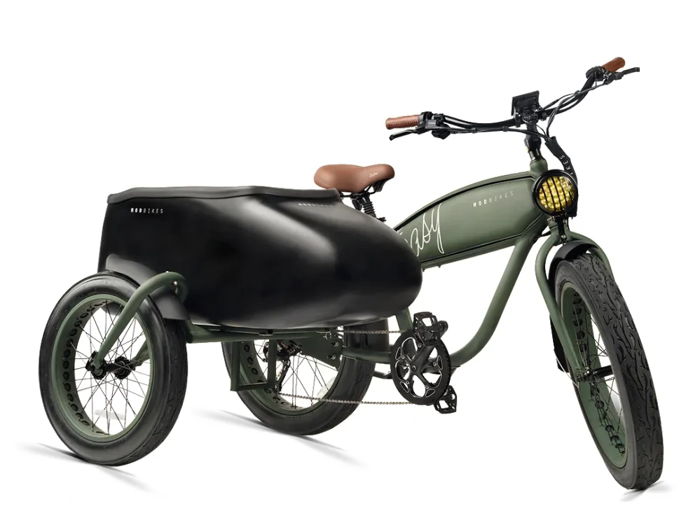 Enhance Your Ride: Experience Ultimate Versatility with an Electric Bicycle Sidecar