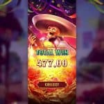 Wild Bandito: Petualangan Seru Bertemu Perampok Cerdas